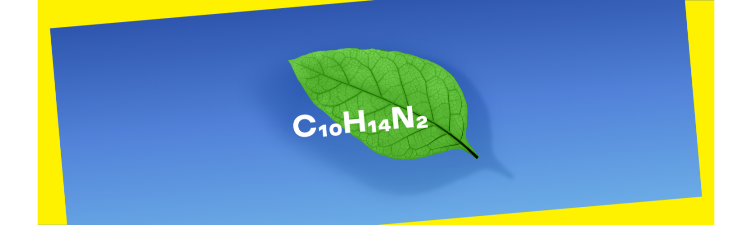 Co je nikotin? Klíčová fakta a nikotinové sáčky VELO