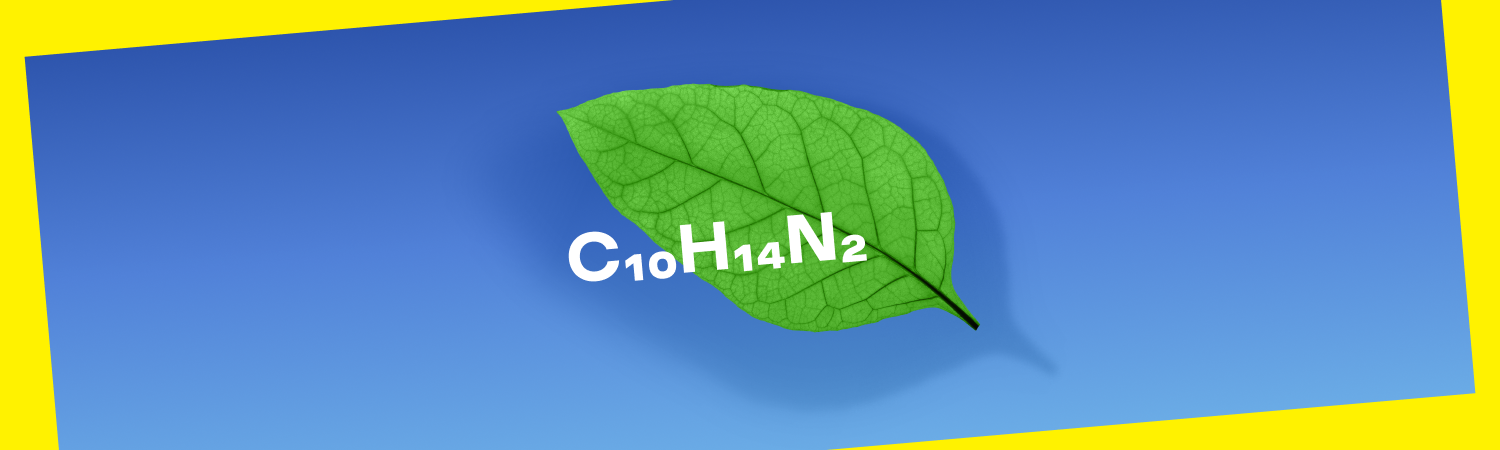 Čo je nikotín? Kľúčové fakty o nikotínových vrecúškach VELO