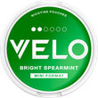 BRIGHT SPEARMINT